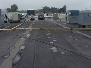 Roof Coating1