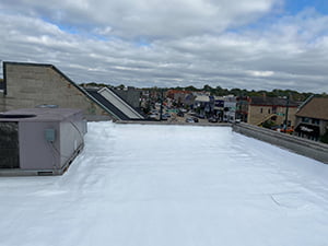 Roof Coating1